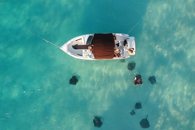 Private, luxury, custom charters to Stingray City, Snorkeling & More - Key points before you book