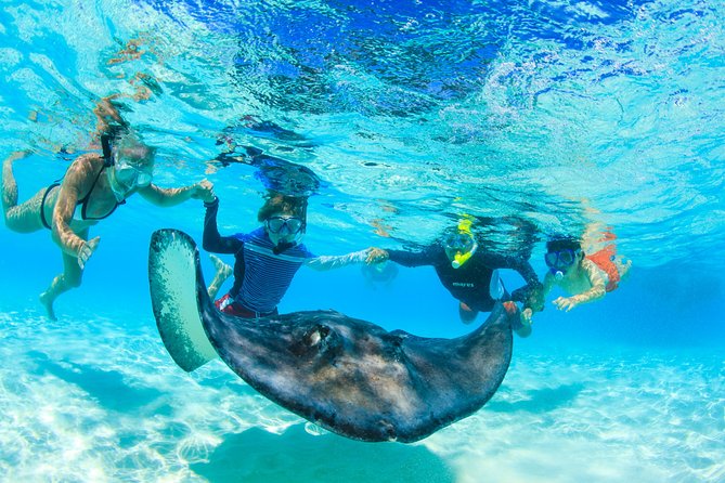 Private Stingray City Snorkeling and BioBay Charter for 10 Guests - Why the afternoon start works so well