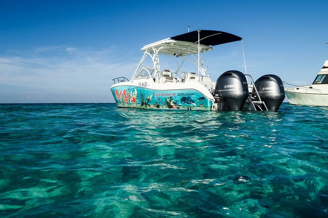 Private Stingray City Snorkeling and BioBay Charter for 10 Guests - The two-person crew is a major advantage