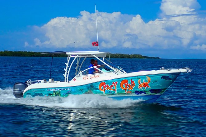 Private Stingray City Snorkeling and BioBay Charter for 6 Guests - Bioluminescent Bay After Dark