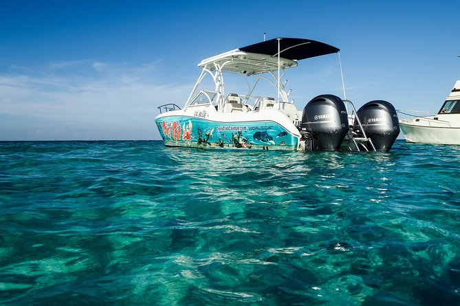 Private Stingray City Snorkeling and BioBay Charter for 6 Guests - What Comes With the $2,000 Charter