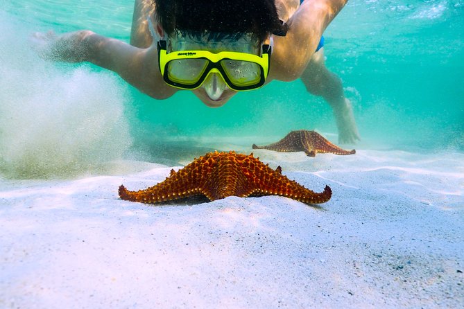Private Stingray City Snorkeling and BioBay Charter for 6 Guests - Sunset, Supper, and the Shift Into Evening