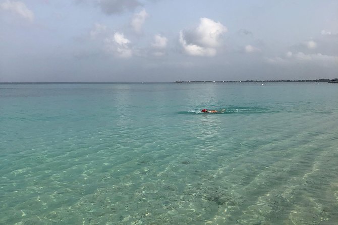 Private Swim Lesson or Triathlon Training on Seven Mile Beach! - The Seven Mile Beach setting and open-water practice