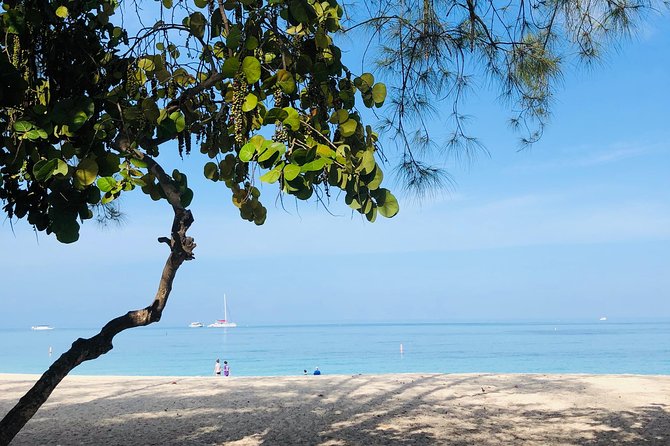 Private Swim Lesson or Triathlon Training on Seven Mile Beach! - What is included, and what you should plan for