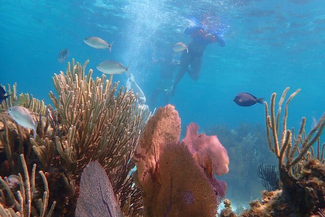 Private Tour to Stingray City & Snorkeling at Coral Gardens - How much time you really need