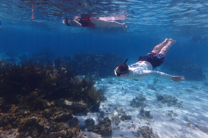 Private Tour to Stingray City & Snorkeling at Coral Gardens - Meeting the southern stingrays at Stingray City
