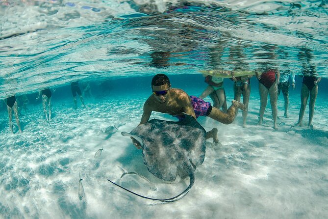 Private Yacht 48 ft Sting Ray City, Snorkel & Starfish Beach - A private route instead of a fixed group schedule