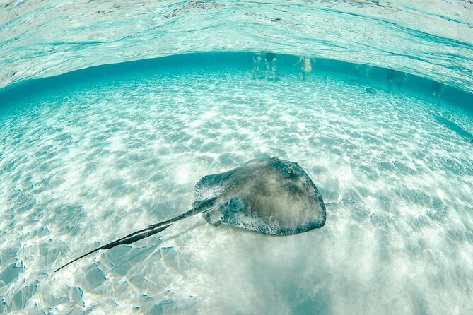 Private Yacht 48 ft Sting Ray City, Snorkel & Starfish Beach - Who will enjoy this charter most