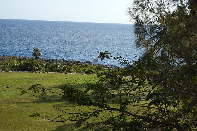 Queen Elizabeth II Botanic Park and Pedro St James Castle Tour in Grand Cayman - Why Guide Quality Matters So Much