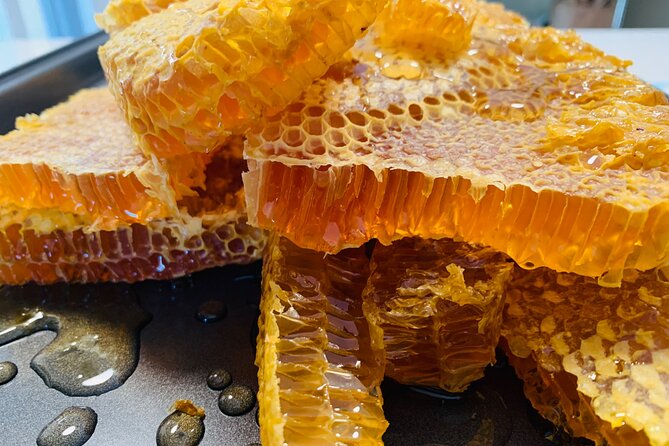 Reagan’s Honey Beekeeping Adventure - Suiting Up for the Bees