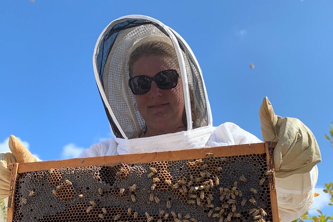 Reagan’s Honey Beekeeping Adventure - Opening a Living Hive