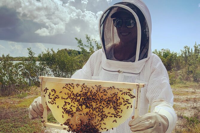 Reagan’s Honey Beekeeping Adventure - Tasting Honey Straight From the Comb