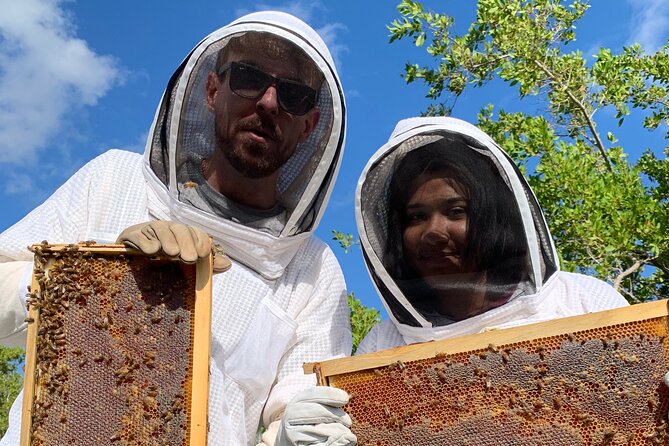 Reagan’s Honey Beekeeping Adventure - How Much Value Do You Get for $66.67?