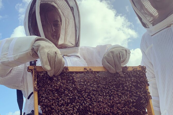 Reagan’s Honey Beekeeping Adventure - What the Guide Adds