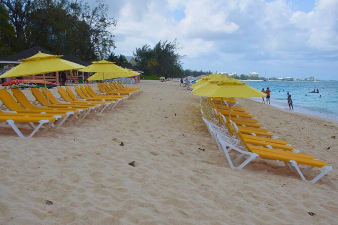 Small Group 7 Mile Beach Stingray City and Coral Gardens Tour - Starting in George Town at 10 a.m.