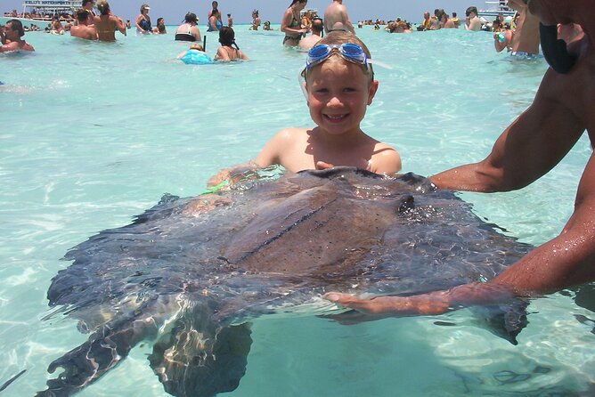 Small Group 7 Mile Beach Stingray City and Coral Gardens Tour - Timing, cruise-port planning, and group size