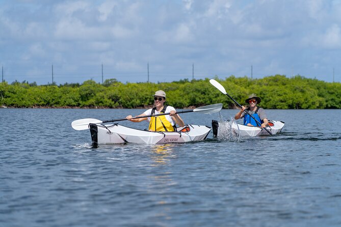 Small Group Glass Bottom Kayak Adventure- Cayman Islands - Key points at a glance