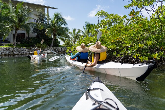 Small Group Glass Bottom Kayak Adventure- Cayman Islands - Starting at Anchors Store on Yacht Drive