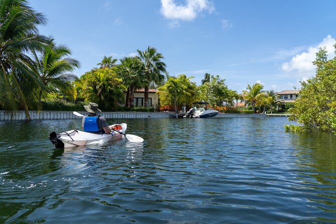 Small Group Glass Bottom Kayak Adventure- Cayman Islands - Why the glass bottom matters