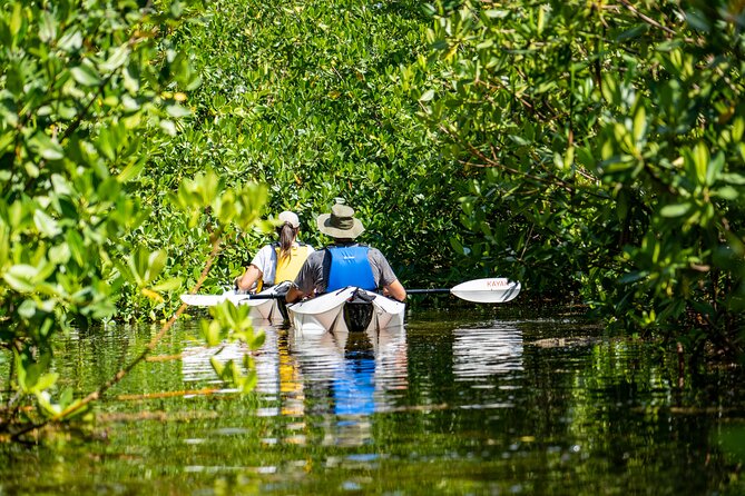 Small Group Glass Bottom Kayak Adventure- Cayman Islands - Paddling into the red mangrove forest
