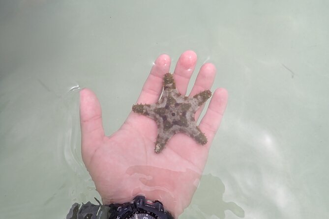Starfish Point, Stingray City & Coral Garden (3-STOP Adventure) - Starfish Point: the quietest stop