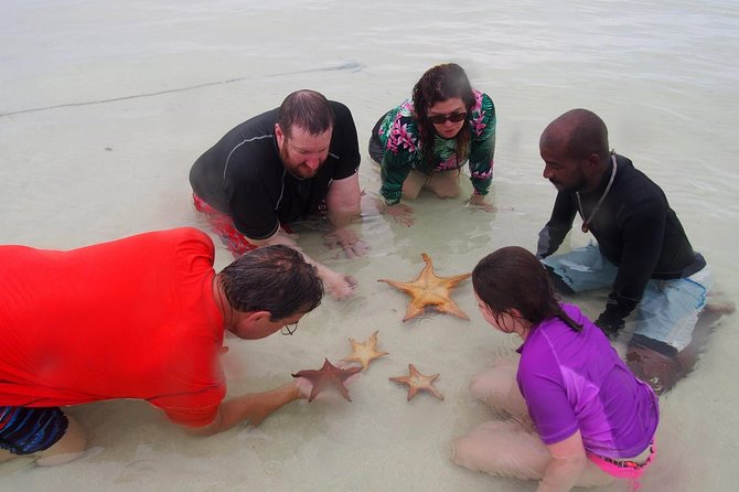 Starfish Point, Stingray City & Coral Garden (3-STOP Adventure) - Is $80 a fair price?