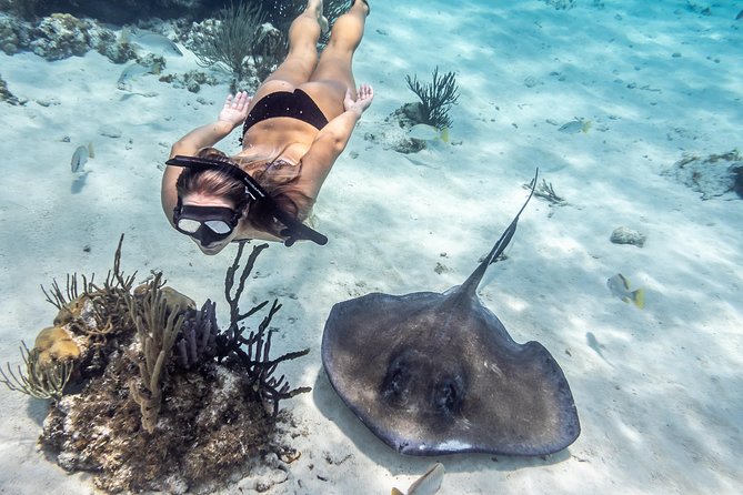 Starfish Point, Stingray City-Sandbar & Coral Gardens - Coral Gardens: good reef access, limited time