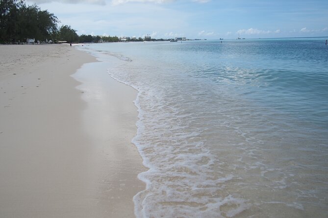 Stingray City and Seven Mile Beach Adventure Tour - What the stingray encounter feels like in practice