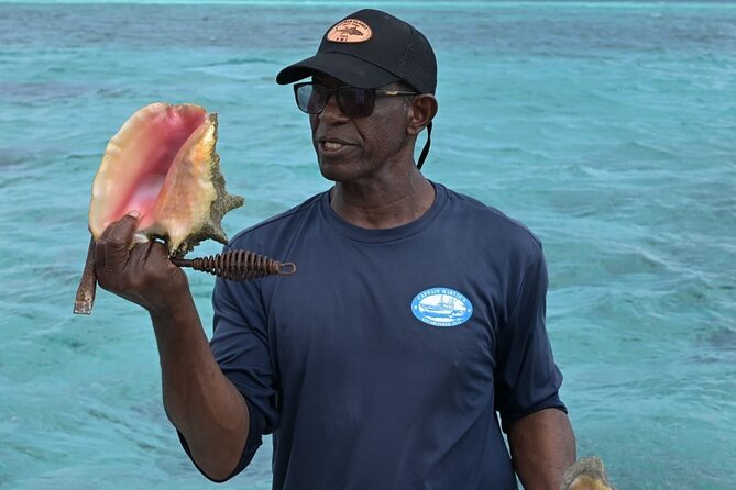 Stingray City and Snorkel Tour With Lunch - Lunch with local flavor