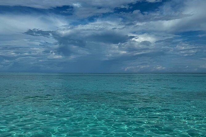 Stingray City and Snorkeling Private Charter - Why a private charter changes the Stingray City experience