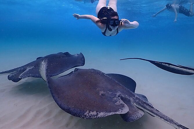 Stingray City and Starfish Experience with Coral Reef Snorkeling - Is $65 a good value?
