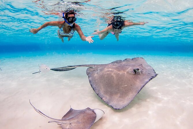 Stingray City and Starfish Experience with Coral Reef Snorkeling - My verdict: book it for variety and value