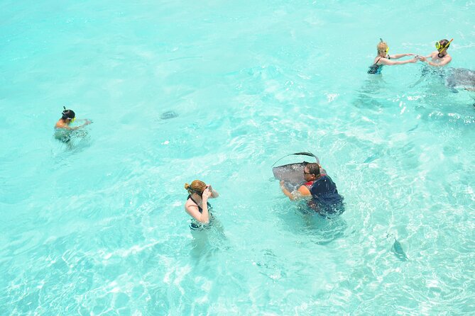 Stingray City, Coral Gardens & Frankie's Local Lunch & Juice - Practical details that make the morning easier