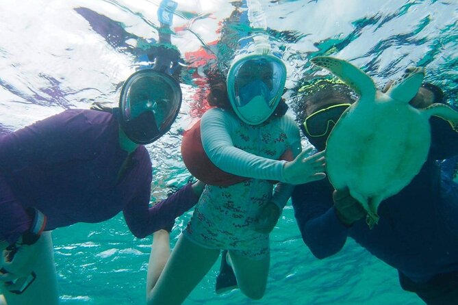 Stingray City Experience Plus One Snorkeling Stop - Who will enjoy this excursion most?