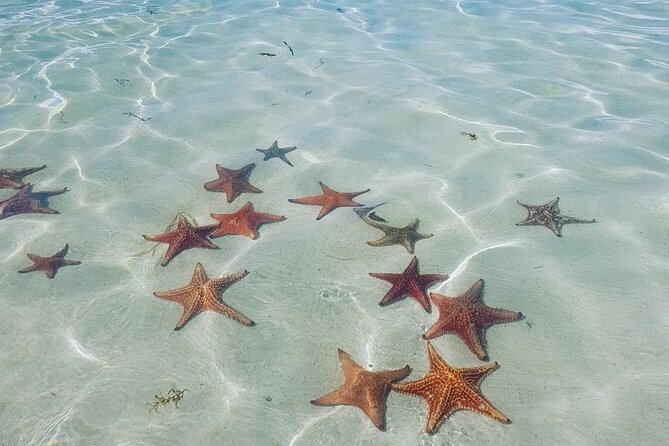 Stingray City Experience Plus Two Snorkeling spots Private Boat - Rum Point: a useful break between swims
