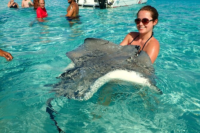 Stingray City Experience Plus Two Snorkeling Stops on Grand Cayman - Three Grand Cayman highlights in one boat trip