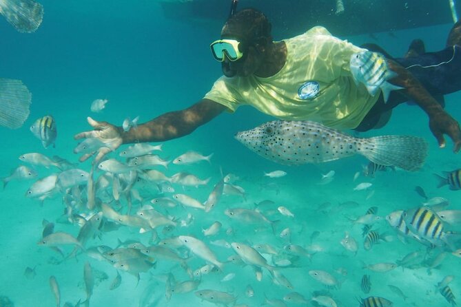 Stingray City Experience Plus Two Snorkeling Stops on Grand Cayman - Who will enjoy this most?