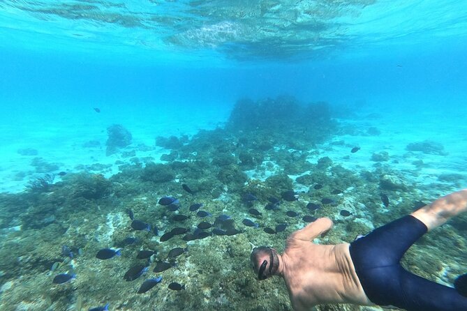 Stingray City, Star fish Point and Snorkeling Private Boat Tour - Lunch at Rum Point, or possibly Kaibo