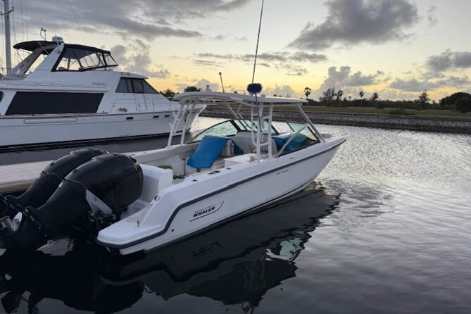 Stingray City, Star fish Point and Snorkeling Private Boat Tour - Booking details and weather flexibility