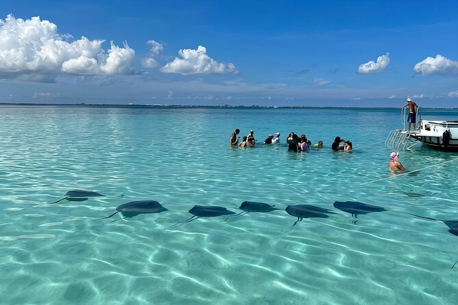 StingrayCity ,Coral Garden & Starfish Tour. - The short version: three sea stops for $69