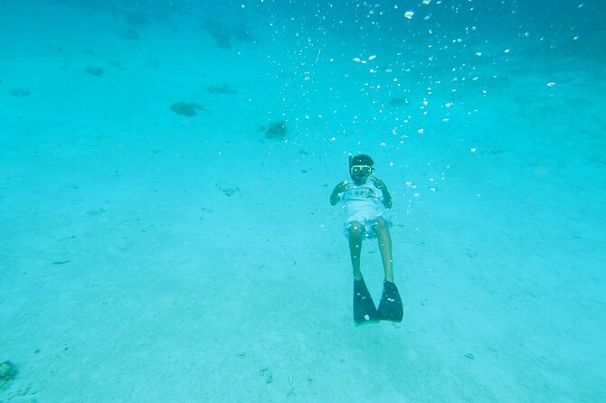 StingrayCity ,Coral Garden & Starfish Tour. - Is $69 a good value?