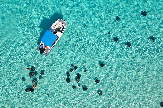 Sunrise at Stingray City, Private Tour - What makes this private charter worth $500